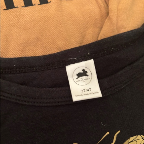 Little and Lively Bundle, Sz 4-6 - Picture 2 of 5